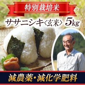 ササニシキ 玄米 5kg×1袋 令和7年産米 特別栽培米 山形県遊佐産 鳥海山の恵 東北 遊佐町 庄内地方 庄内平野 米 お米 庄内米 ごはん ご飯 [1402R07]