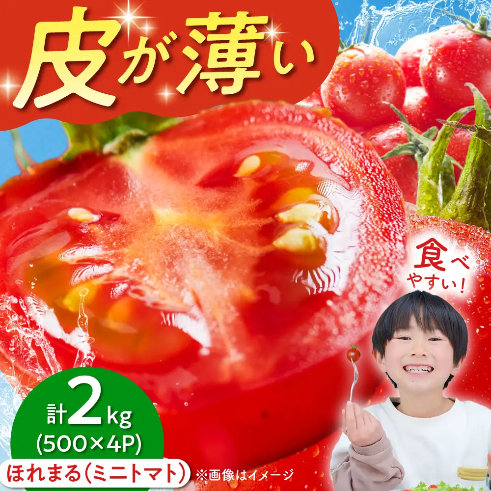  ミニトマト ほれまる 500g×4パック [AJAJ012] トマト 夏