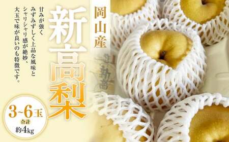 新高梨 3－6玉（合計約4kg） 化粧箱入り 【2026年9月下旬～11月上旬迄発送予定】 なし 梨 ナシ 国産 フルーツ 果物 ギフト 岡山県産