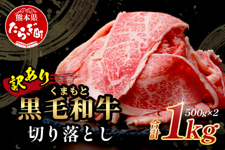 【訳あり】くまもと黒毛和牛 切り落とし 1kg 113-0551