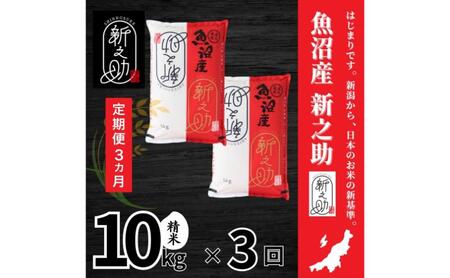 【定期便全3回毎月発送】魚沼産新之助(精米)　10kg 米 定期 新潟 十日町市