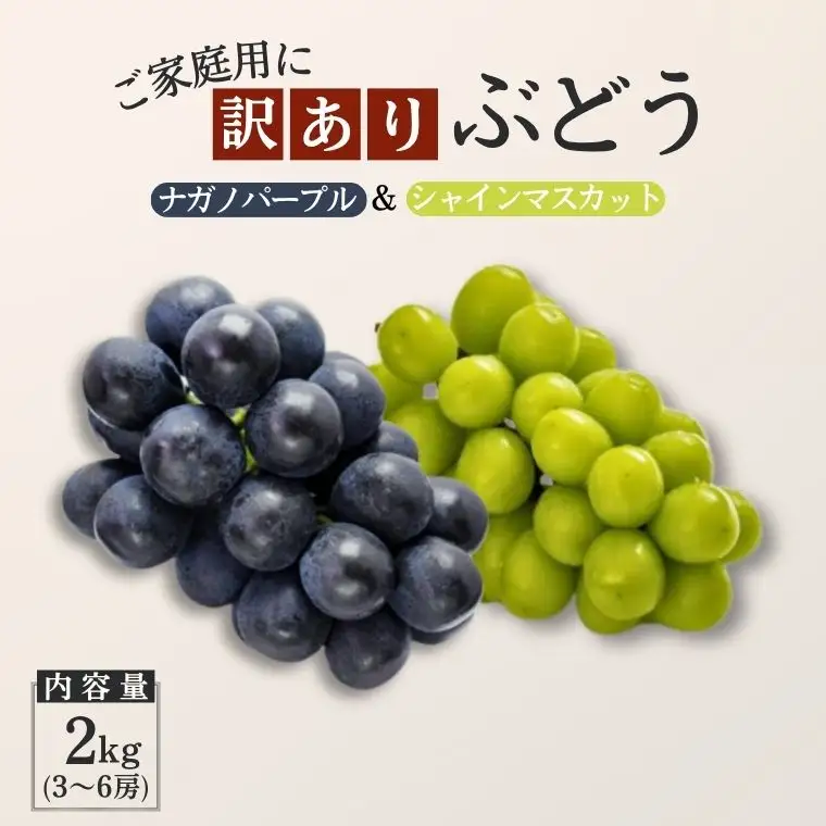 TK35【家庭用】 ぶどう2種セット （ナガノパープル・シャインマスカット） 約2kg ／ 2026年9月中旬～10月上旬頃 配送予定 // 長野県 南信州 種なし 葡萄 セット ナガノパープル シャイン マスカット お試し 訳あり お取り寄せ 