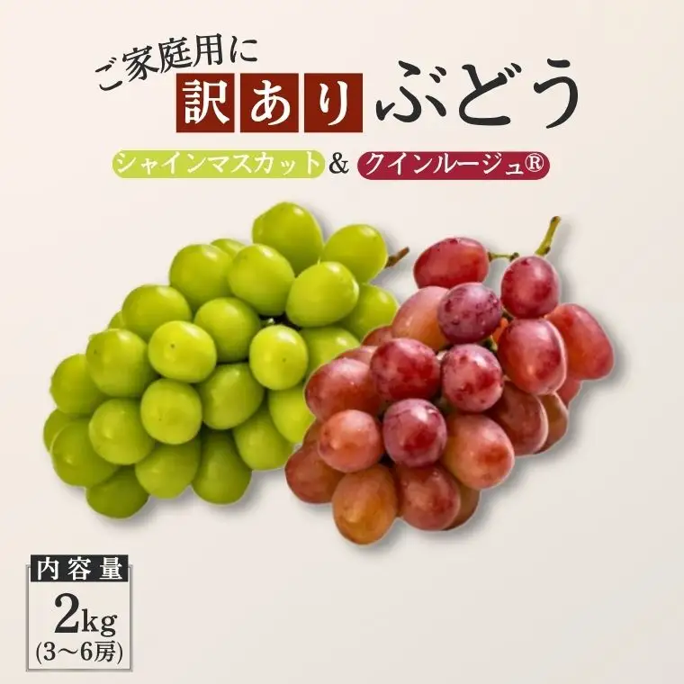 TK36【家庭用】 ぶどう2種セット （シャインマスカット／クイーンルージュ®） 約2kg ／ 2026年9月下旬～10月頃 配送予定 // 長野県 南信州 種なし 皮ごと 食べ比べ 詰め合わせ   お試し 訳あり お取り寄せ シャイン マスカット ルージュ クイーン 新鮮 希少 