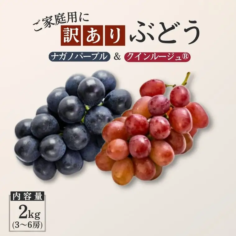 TK37【家庭用】 ぶどう2種セット （ナガノパープル・クイーンルージュ®） 約2kg ／ 2026年9月中旬～10月中旬頃 配送予定 // 長野県 南信州 種なし 葡萄 セット ナガノパープル クイーンルージュ お試し 訳あり お取り寄せ 詰め合わせ