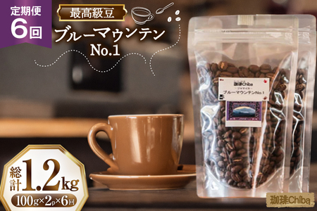 【6回定期便】 コーヒー豆 ブルーマウンテン 100g 2パック