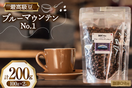 コーヒー豆 ブルーマウンテン 100g 2パック 計 200g