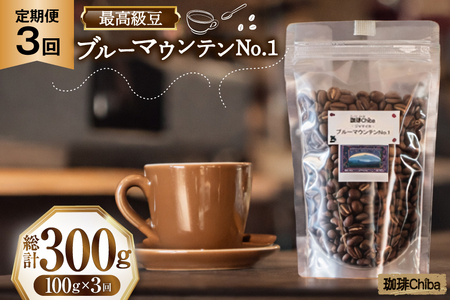 【3回定期便】 コーヒー豆 ブルーマウンテン 100g