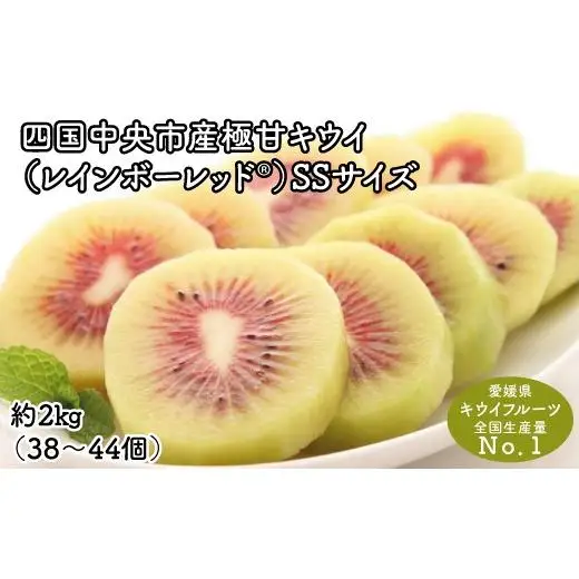 【ぽぽ農園】レインボーレッドキウイ（四国中央市産レインボーレッド） SS サイズ 約2kg（38個～44個）