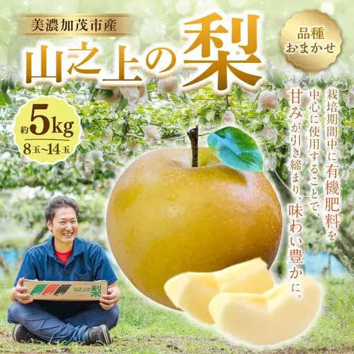 《先行予約》 山之上の梨 （ 品種はおまかせ ） 約5kg （ 8～14玉 ） 【2026年8月下旬～10月上旬発送予定】
