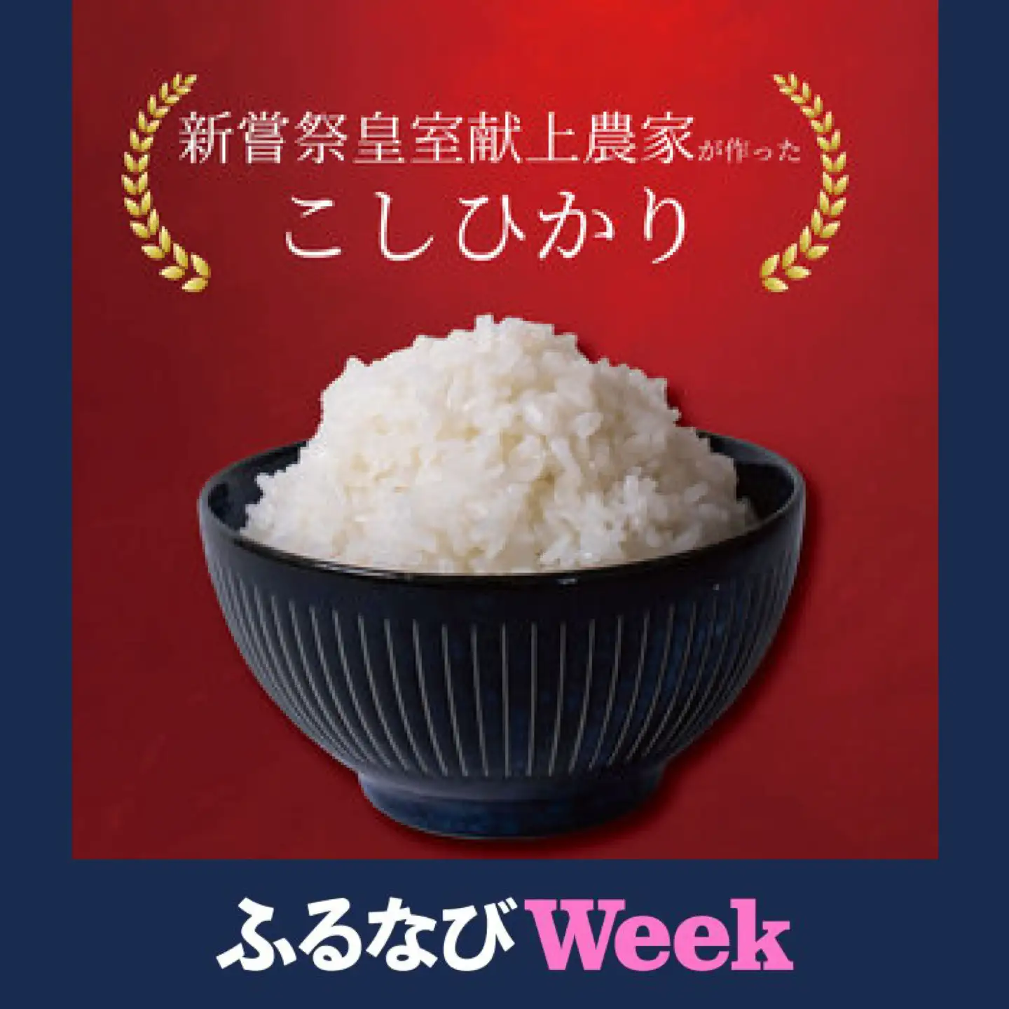 【ふるなびWEEK対象】こしひかり 米 5kg 令和8年産【こしひかり】