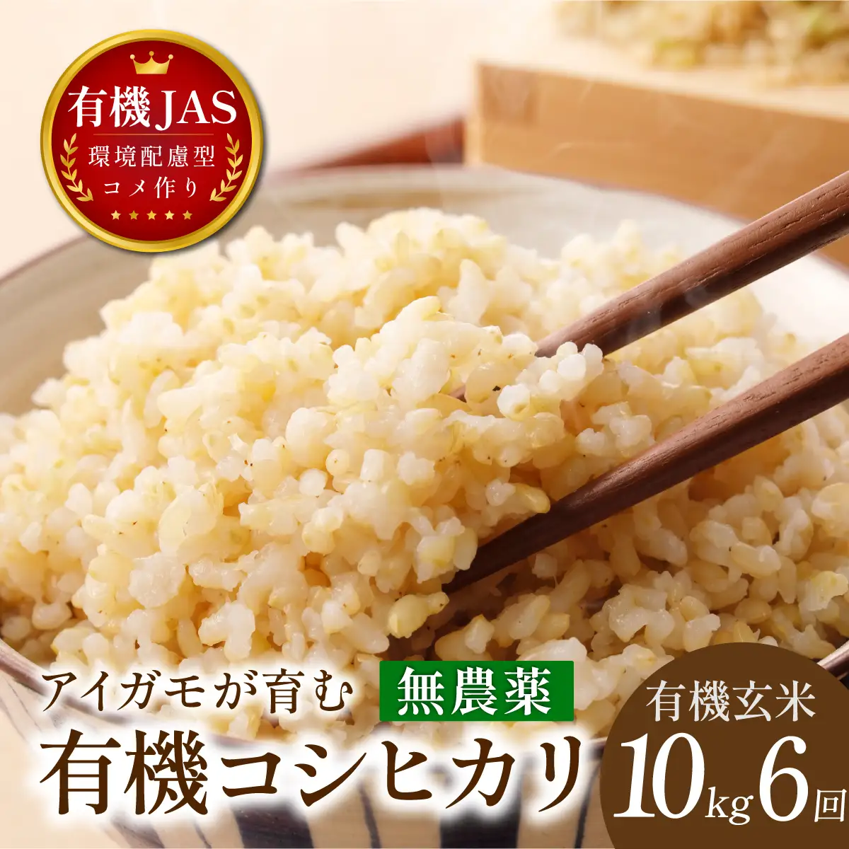 〈8年産予約〉【定期便】有機米 無農薬 コシヒカリ 玄米 ( 10kg×6回 計30kg ） 有機米
