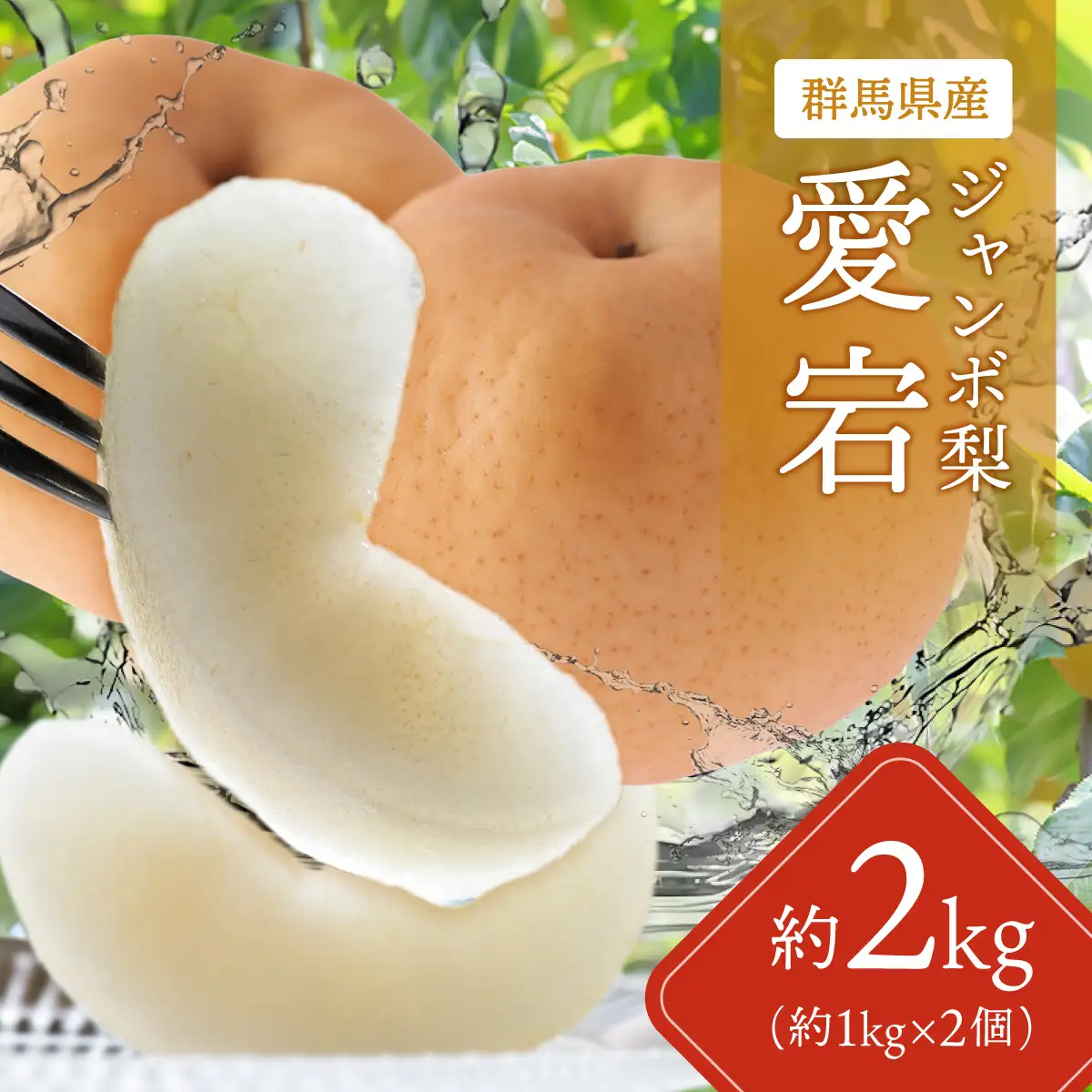 【先行予約】群馬県産ジャンボ梨「愛宕」2個(1個あたり約1.0～1.1kg)【11月中旬～12月下旬発送予定】 ANAH001