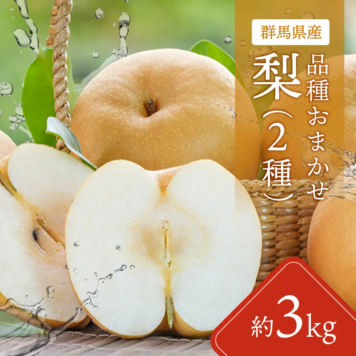 【先行予約】【品種おまかせ】群馬県産「梨」(2種類)約3kg【9月中旬～9月下旬発送予定(9/20～26除く)】 ANAH003