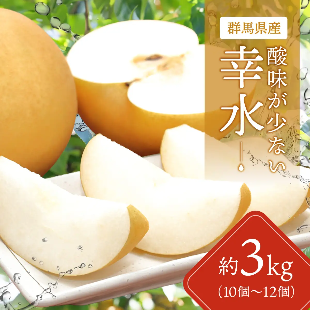 【先行予約】群馬県産梨「幸水」約3kg(10～12個)【8月中旬～8月下旬発送予定】　ANAH004