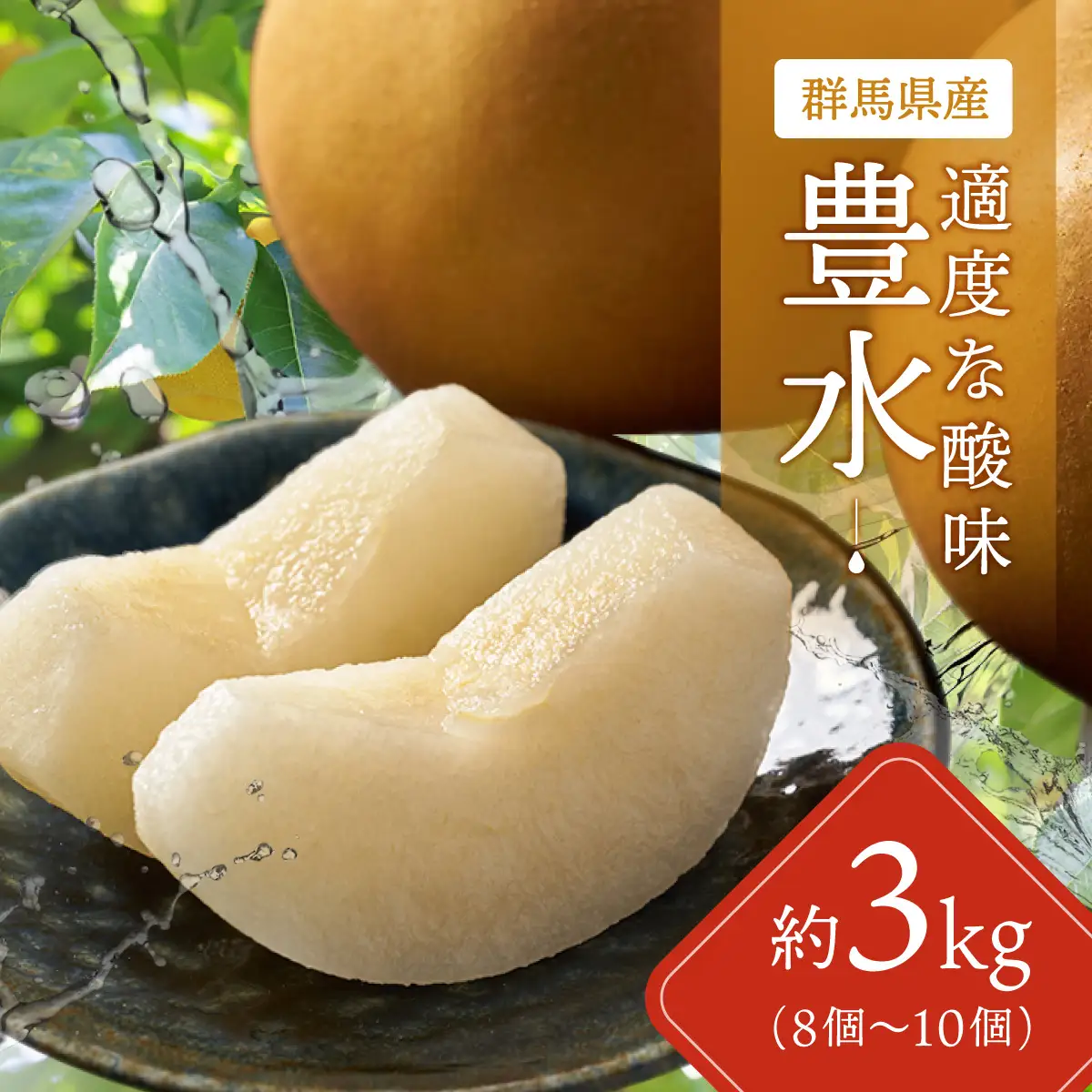 【先行予約】群馬県産梨「豊水」約3kg(8～10個)【9月上旬～9月中旬発送予定】ANAH005