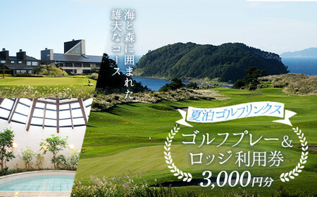 【夏泊ゴルフリンクス】 利用券3000円分 F21J-048