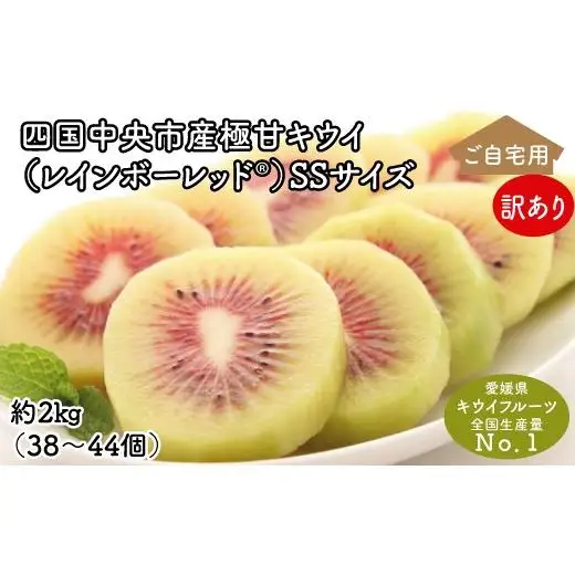 【ぽぽ農園】【訳あり・ご自宅用】レインボーレッドキウイ（四国中央市産レインボーレッド） SS サイズ 約2kg（38個～44個）