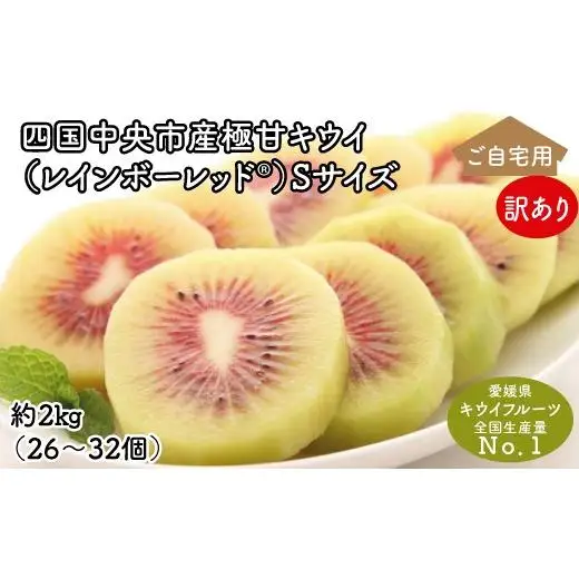 【ぽぽ農園】【訳あり・ご自宅用】レインボーレッドキウイ（四国中央市産レインボーレッド） S サイズ 約2kg（26個～32個）
