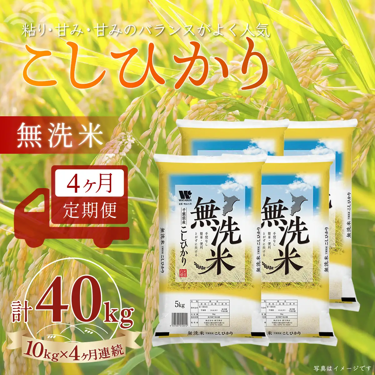 ＜4か月定期便＞ 千葉県産「コシヒカリ」無洗米 10kg×4か月連続 計40kg A078