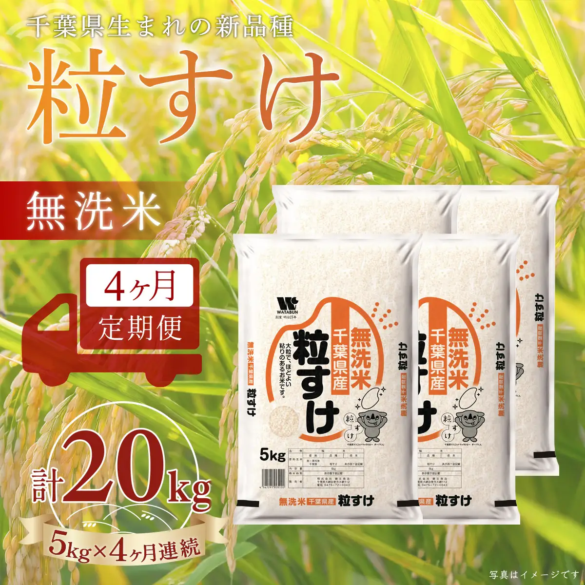 ＜4か月定期便＞ 千葉県産「粒すけ」無洗米 5kg×4か月連続 計20kg A092