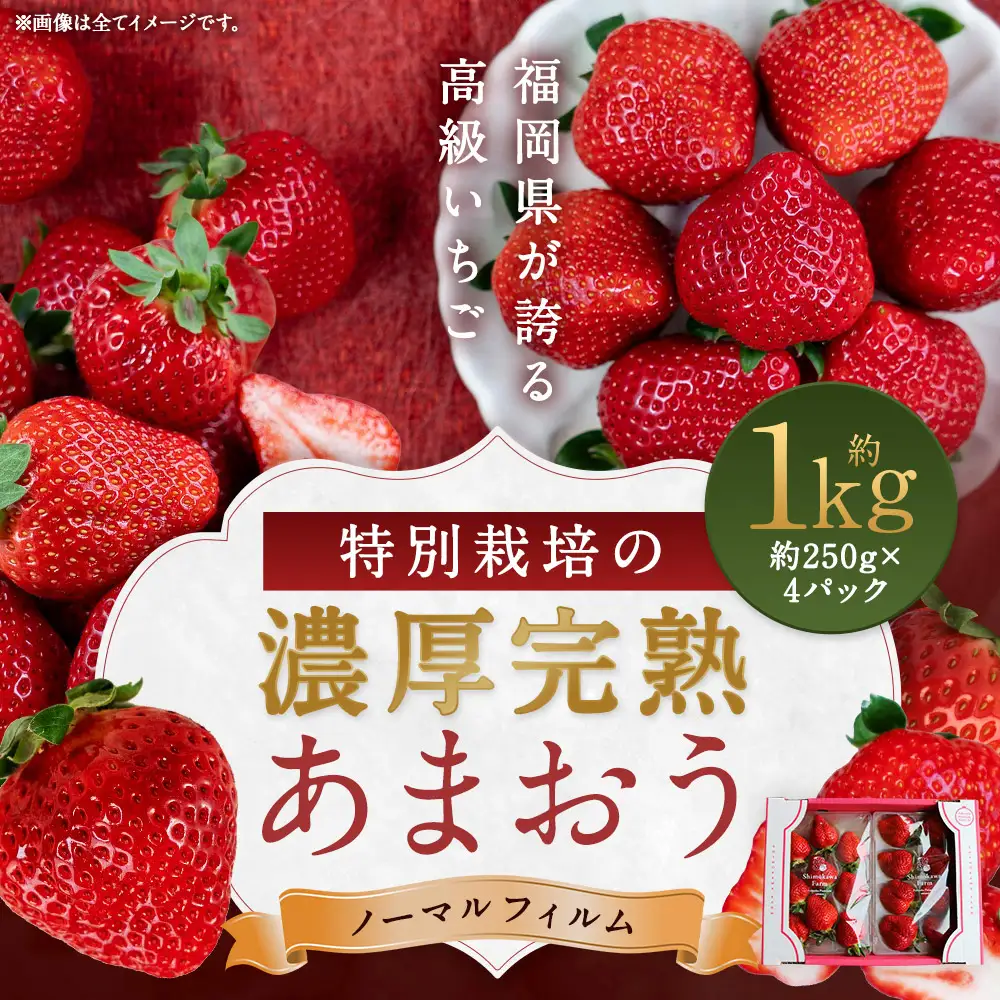 特別栽培 の 濃厚 完熟 あまおう 約1kg 約250g×4パック 【2026年12月上旬～4月下旬まで発送予定】 いちご 苺 果物 フルーツ