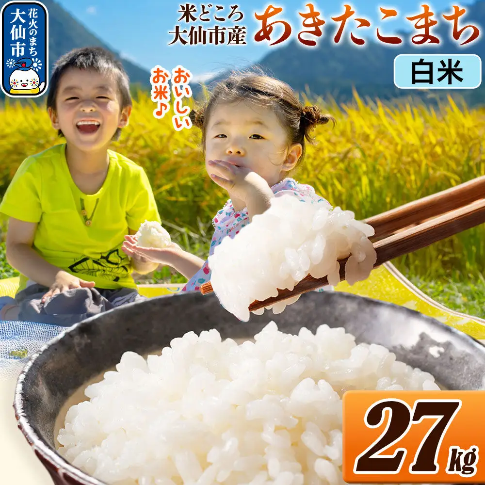 米 あきたこまち【白米】令和7年産 米どころ秋田県大仙市産 27kg（27kg×1袋）