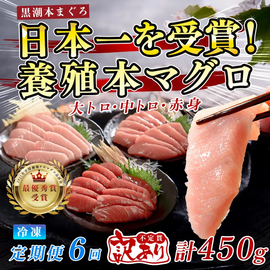 訳あり まぐろ マグロ 本鮪 黒潮本まぐろ 赤身 中トロ 大トロ 定期便 6回 計450g × 6回