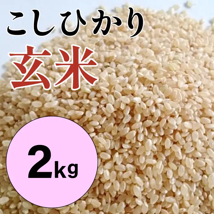 大山の一粒 玄米 2kg【玄米 2kg 2キロ こめ コメ げんまい ゲンマイ 先行予約 お米 こしひかり コシヒカリ ごはん ライス 国産 お取り寄せ 鳥取県 大山町】