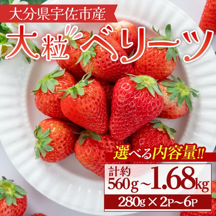 ＜10月1日から先行予約受付開始！＞＜2027年1月上旬～3月下旬の間に発送予定＞大粒いちご(計約560g・280g×2P)苺 イチゴ フルーツ 果物 くだもの 果実 ベリーツ【117900400】【Farm U.S.A.】