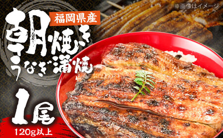 日本料理店「麻以虎」特製 朝焼きうなぎ カット蒲焼 1尾 [VBX009]