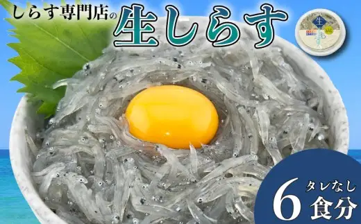 土佐のお刺身「生しらす」6個 タレなし【しらす】