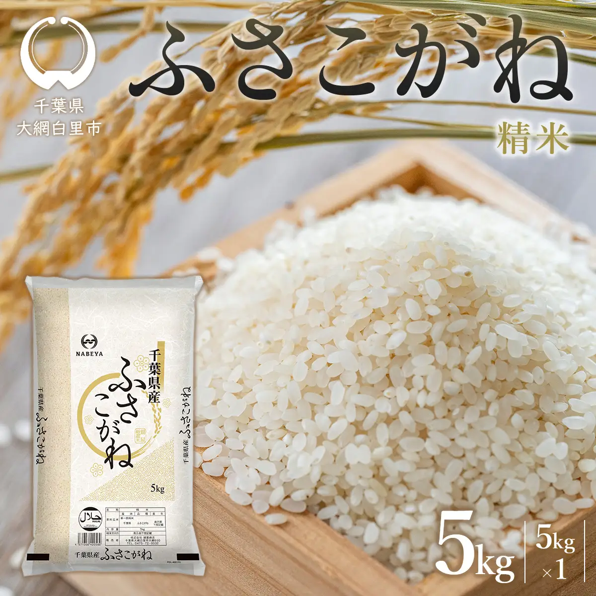 令和8年産 千葉県産ふさこがね 精米 5kg (5kg×1袋) E039