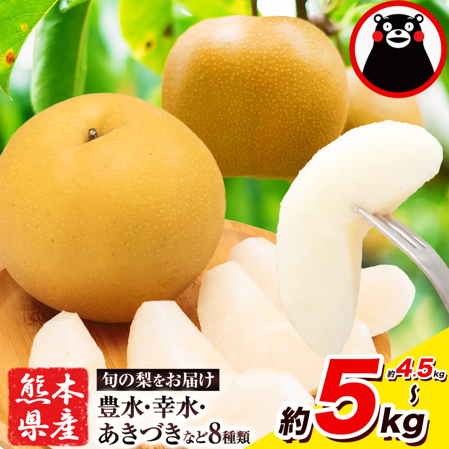 くまもと梨 約5kg 梨 熊本県産　《8月下旬-11月中旬頃出荷予定》