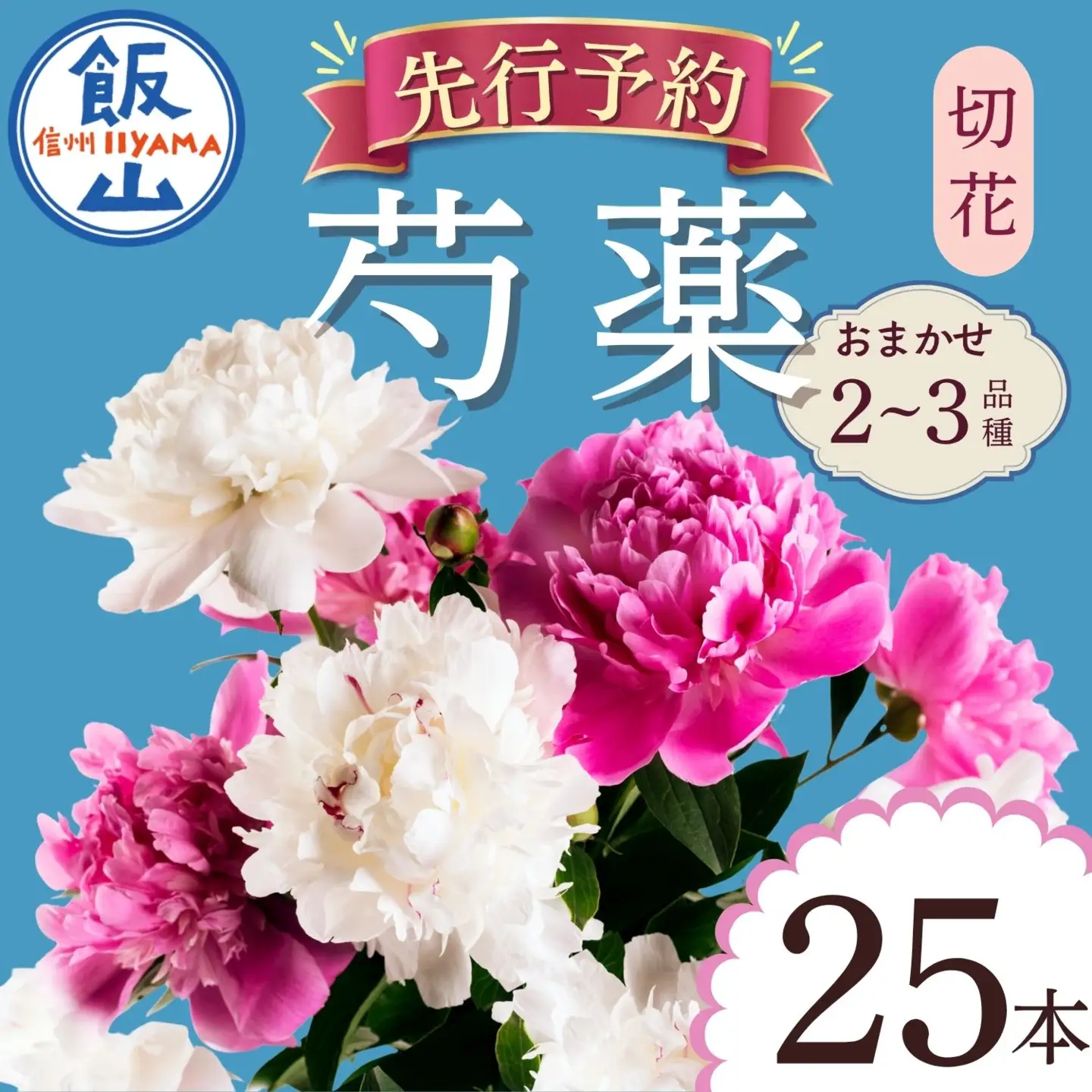 【先行予約】芍薬 切花 おまかせ2〜3品種 25本セット | 木内ファーム