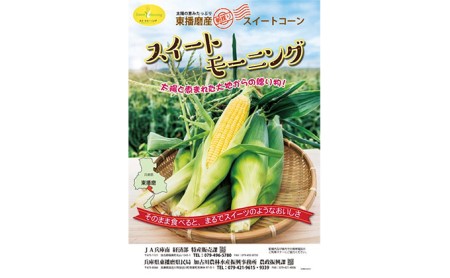 スイートモーニング