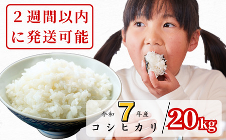 【令和7年産】あわくら源流米 コシヒカリ白米 20kg｜西粟倉村産・昼夜寒暖差が育む甘み｜ふるさと納税 K-ak-AEJA