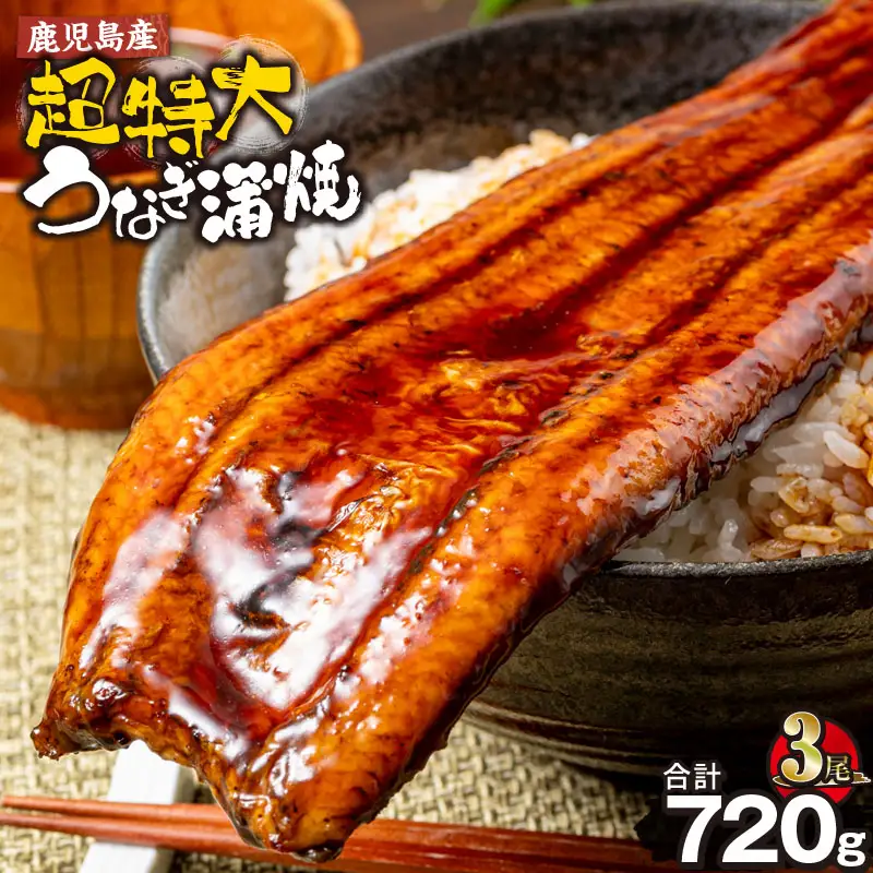  鹿児島産 超特大 うなぎ 蒲焼 240g×3尾 KN021-042-03 鰻 ウナギ 冷凍