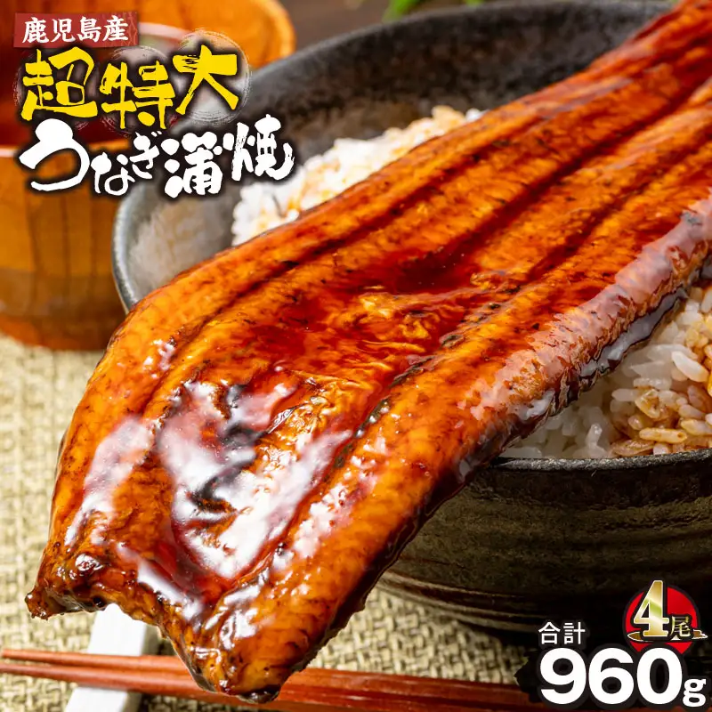  鹿児島産 超特大 うなぎ 蒲焼 240g×4尾 KN021-042-04 鰻 ウナギ 冷凍