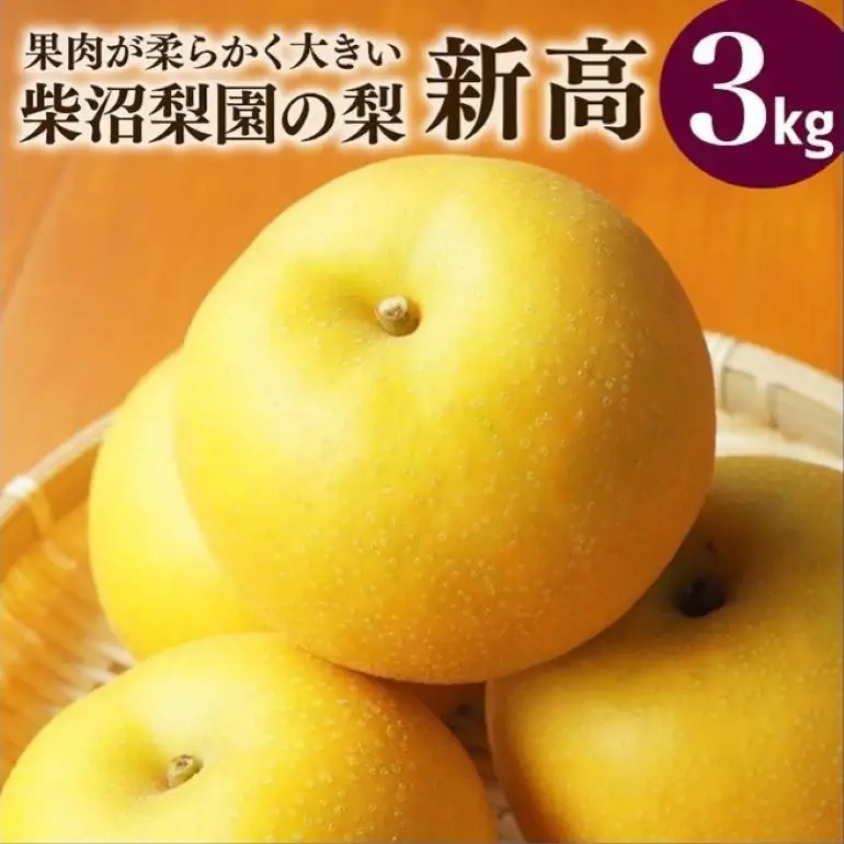 新高 梨 3kg 柴沼梨園の梨 BX-023