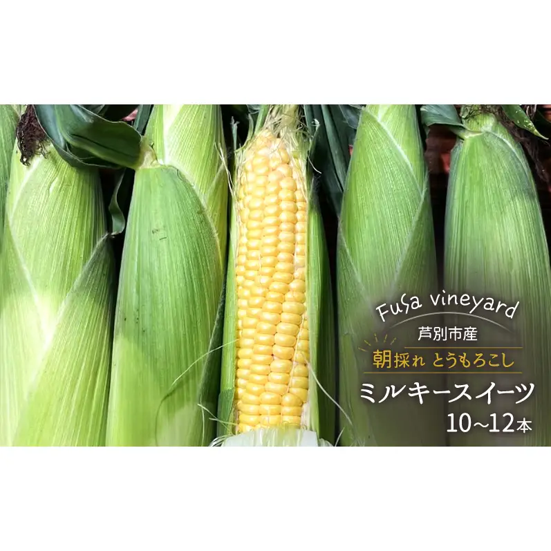北海道芦別市産 とうもろこし ミルキースイーツ 10～12本 朝採れ とうもろこし