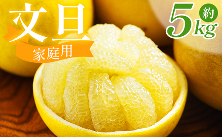 土佐文旦 5kg 家庭用 文旦 nm-0008