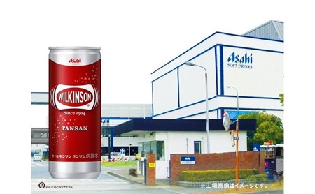 ウィルキンソン タンサン 缶250ml(20本入×２)