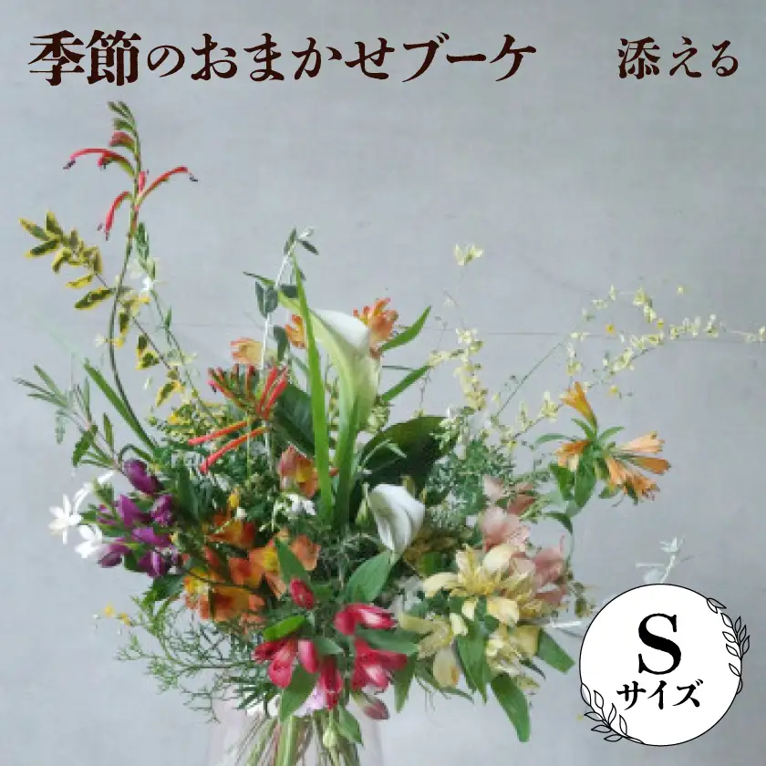 添える　季節のおまかせブーケ(Sサイズ)【配送不可地域：離島】【1710519】
