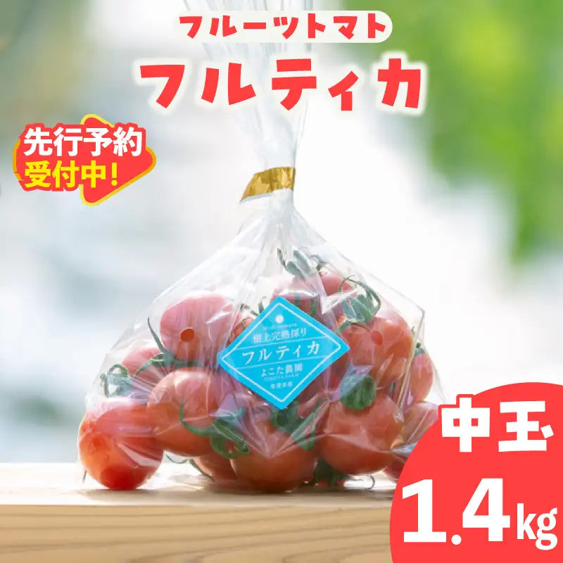 【先行予約】【2027年1月中旬以降発送】フルーツトマト　中玉フルティカ1.4kg