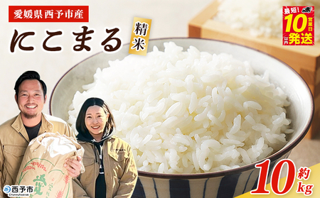 ＜令和7年産 西予市産 にこまる 精米 約10kg＞ ニコマル お米 米 コメ こめ 白米 国産米 単一原料米 ご飯 10キロ お弁当 おにぎり 特産品 愛媛県産 株式会社宇都宮米穀 愛媛県 西予市【常温】『最短10営業日以内に順次出荷予定』NKU0008