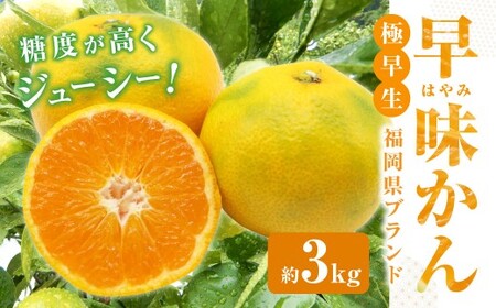 福岡県ブランド みかん 「早味かん」 3kg 【2026年9月下旬～10月下旬発送予定】 蜜柑 ミカン 柑橘 果物 フルーツ 九州 福岡県 香春町 冷蔵