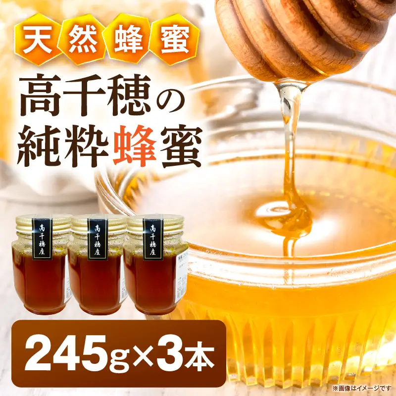 日本みつばち 高千穂の純粋蜂蜜 245g×3本|蜂蜜 はちみつ 日本みつばち 純粋蜂蜜 国産蜂蜜 天然蜂蜜 垂れ蜜 蜜蜂 希少 蜂蜜 濃厚 花 伝統製法 特産品 ふるさと納税 返礼品 宮崎県 高千穂町 | _Tk005-099-2453