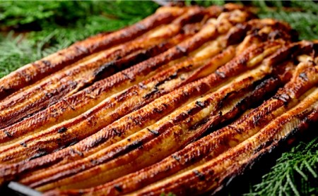 特選明石産炭焼き穴子(タレ4個付き)