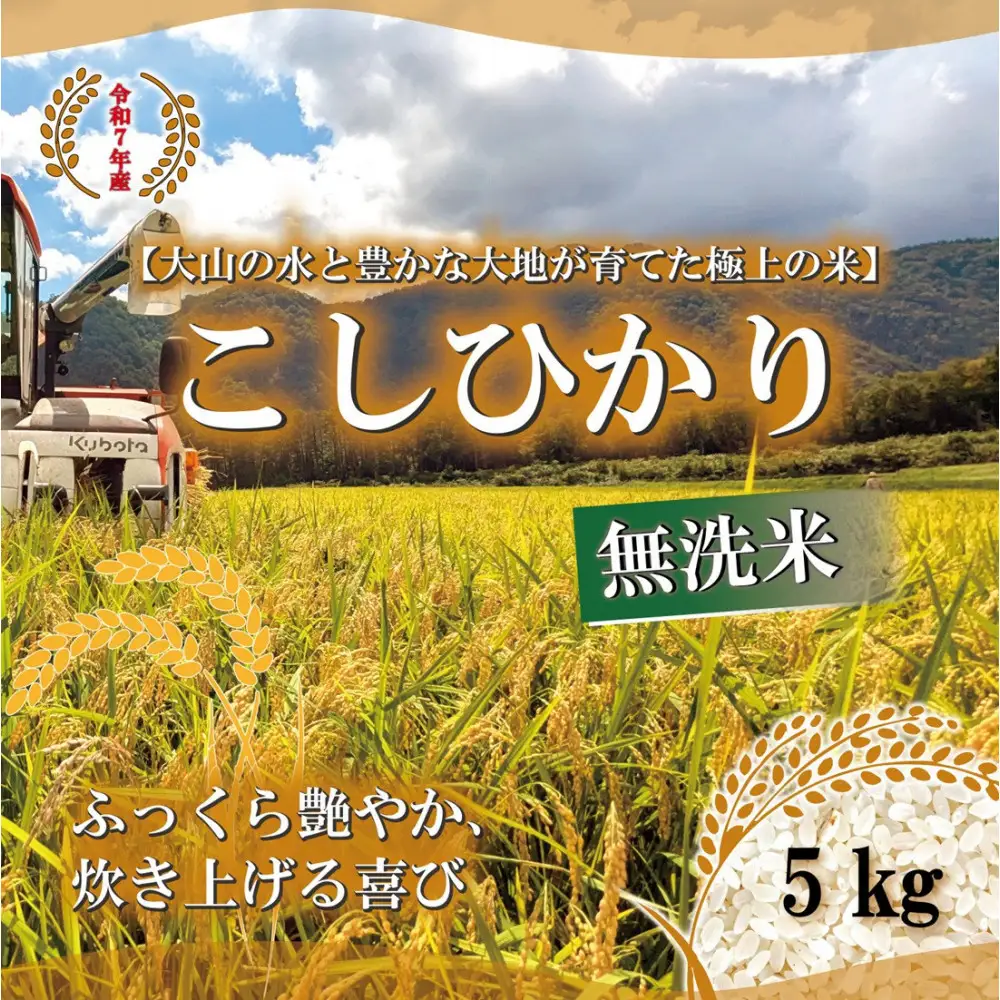 ＜令和7年産＞山崎農園のこしひかり(無洗米・5kg) 【鳥取県 境港市】
