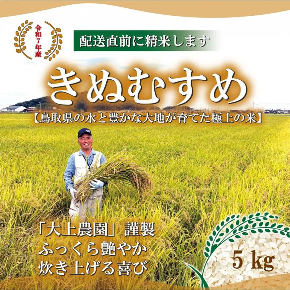 ＜令和7年産＞大上農園のきぬむすめ(精米・5kg) 【鳥取県 境港市】